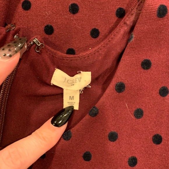 J Crew polka dot Dress - Picture 6 of 6